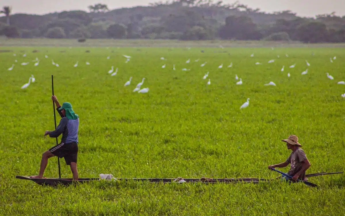 crédit agricole