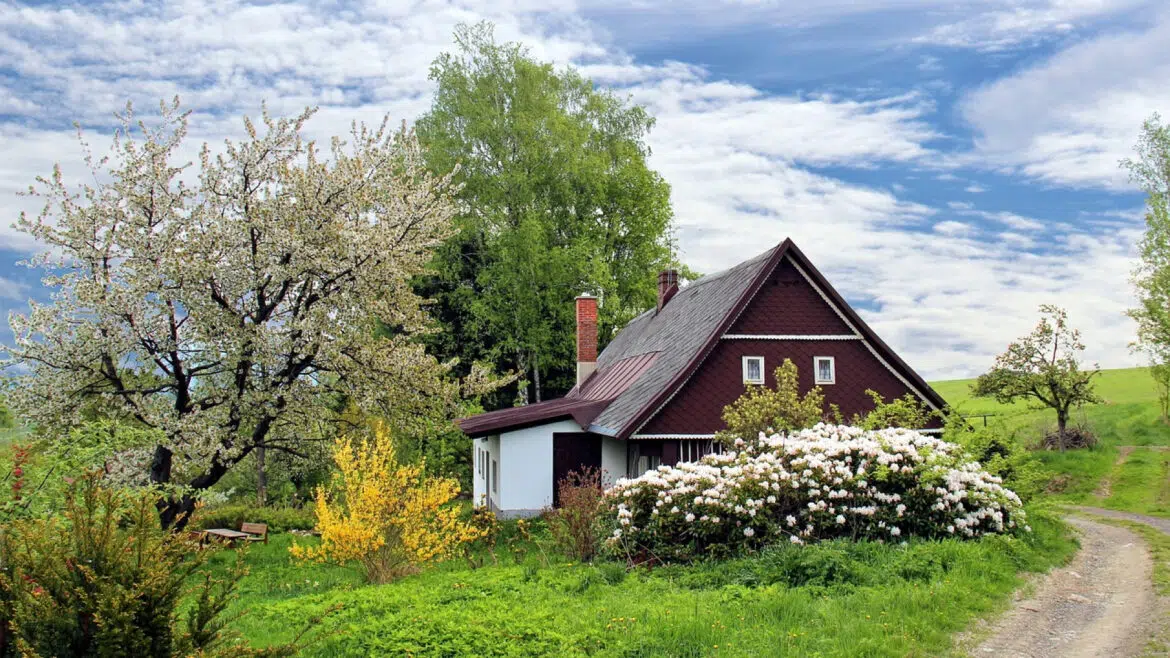 Et si vous adoptiez une maison individuelle ?